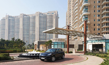 DLF Magnolias